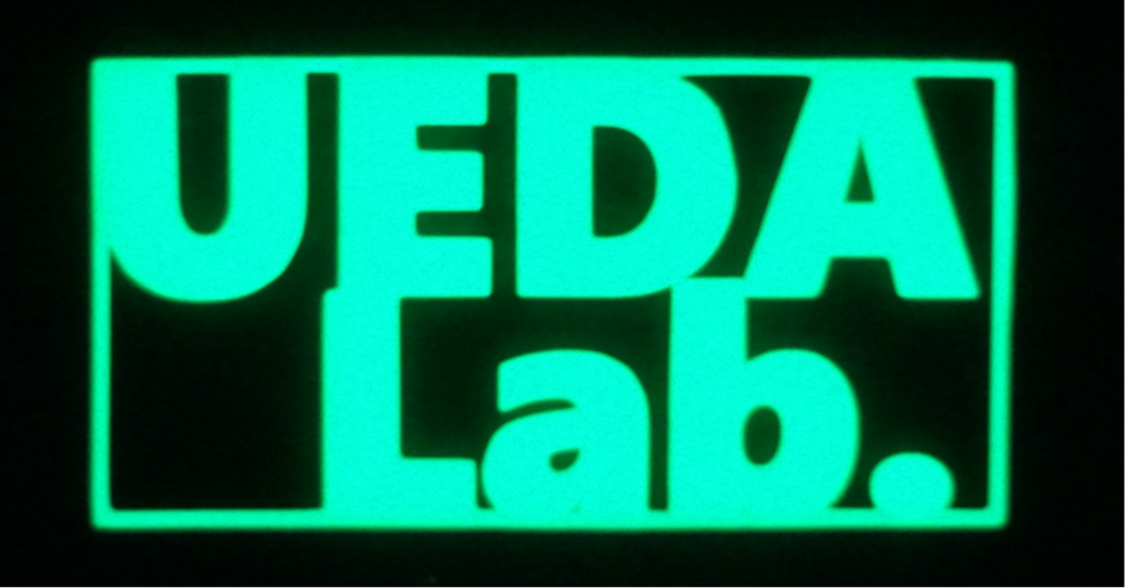 UEDA Lab